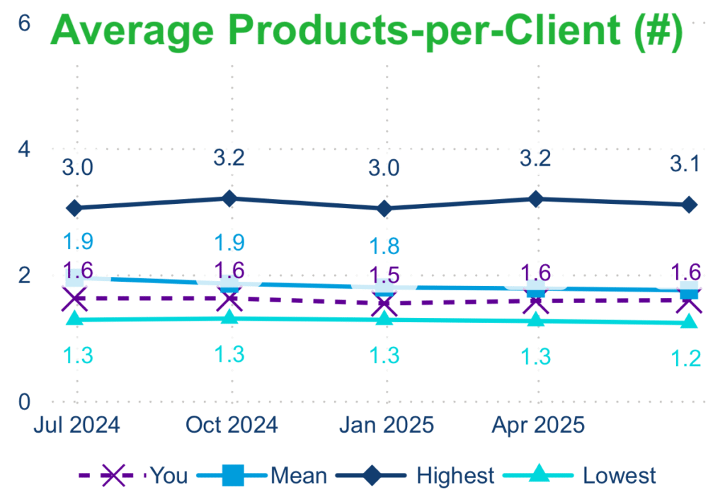 Dollarizable asset management business intelligence Case study 3