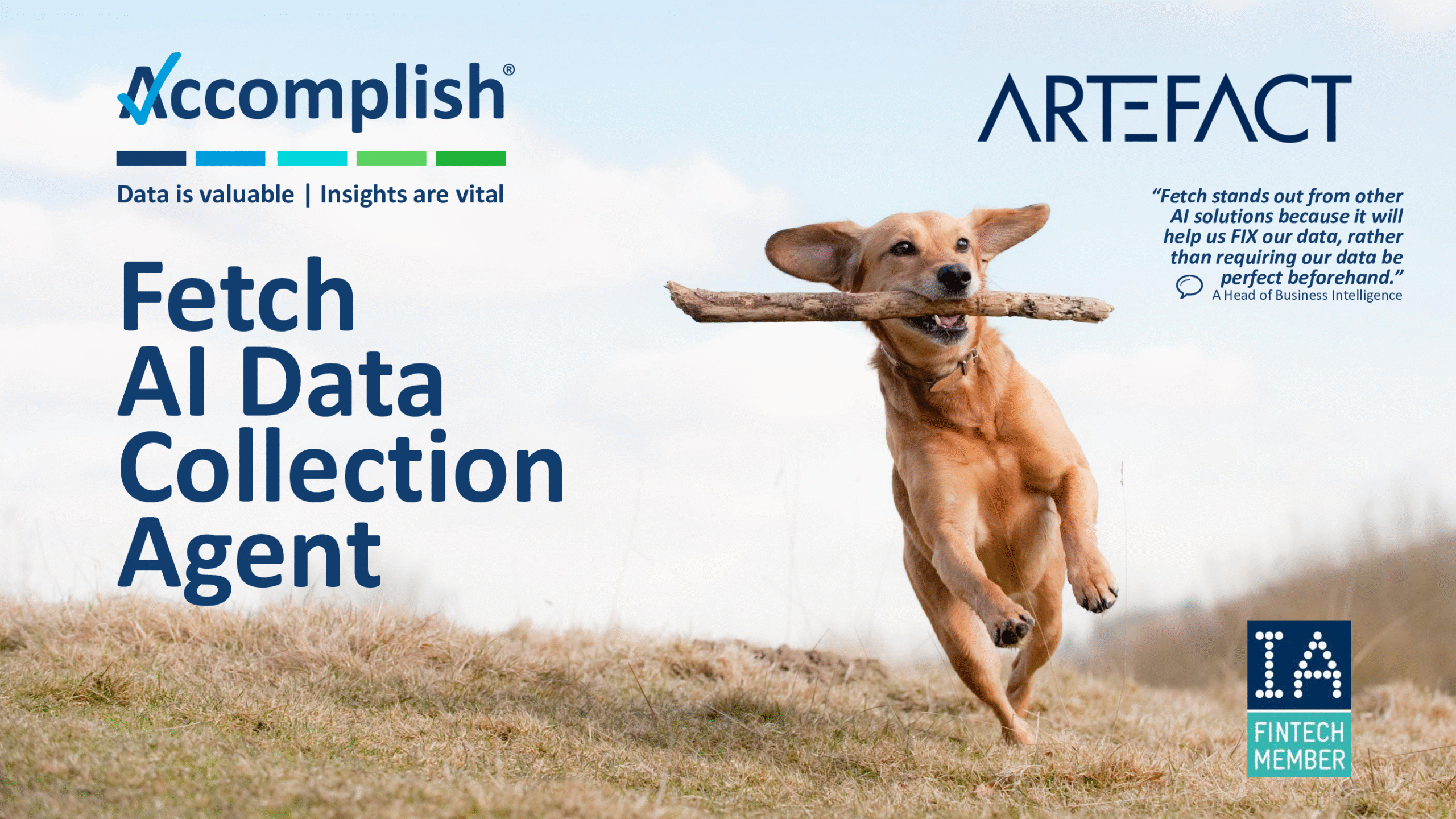 Fetch AI Data Collection Agent 01