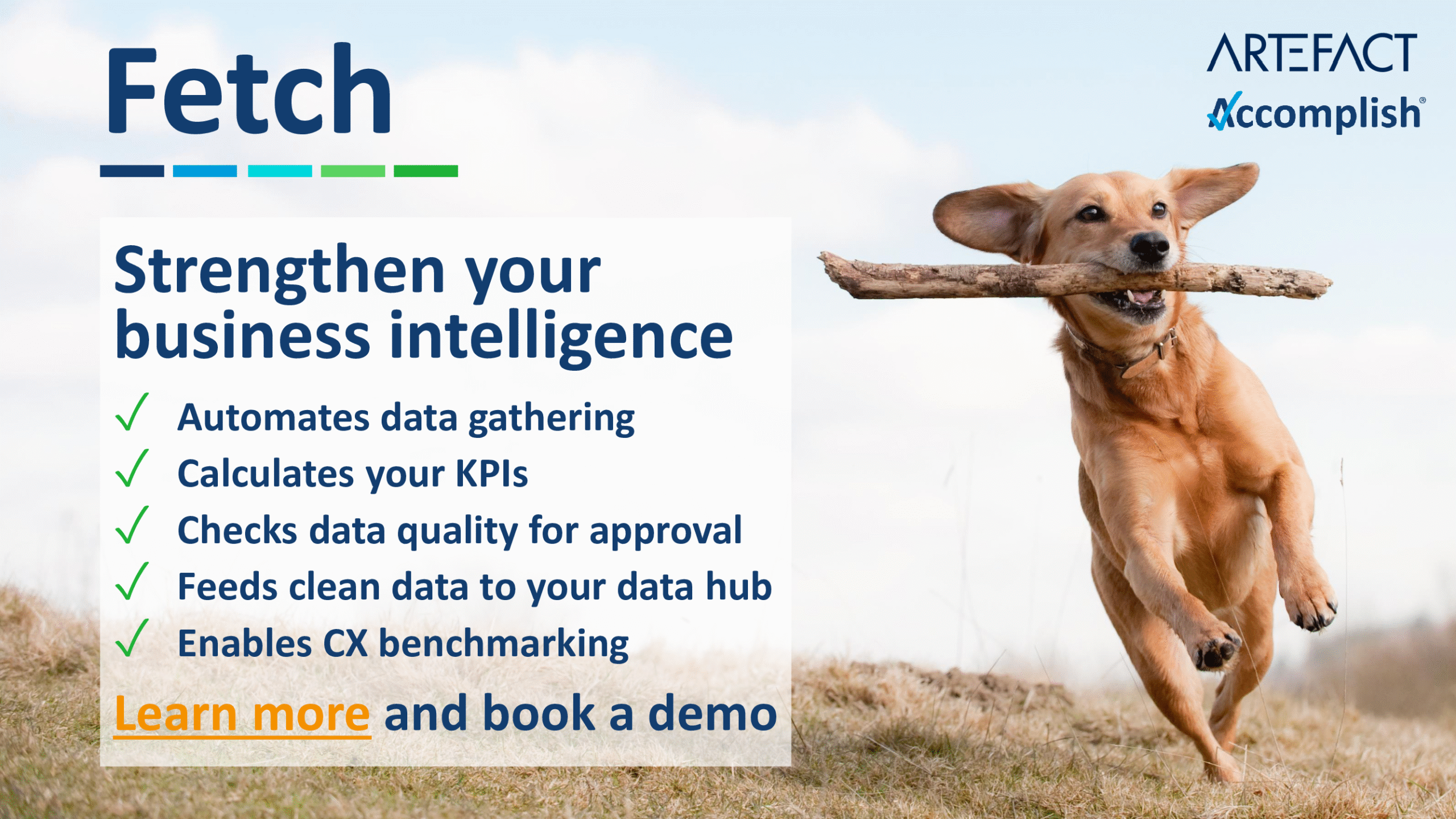 Fetch AI Data Collection Agent 06